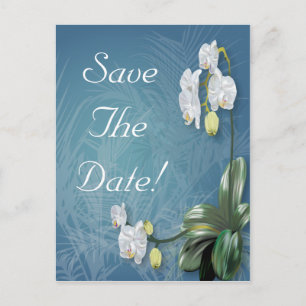Orchids & Ferns Wedding Svae Datum Ankündigungspostkarte