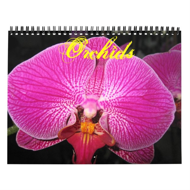 Orchids-Fotokalender Kalender (Titelbild)