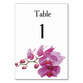 Orchids Inexpensive Hochzeitspakete Set Kits Tischnummer