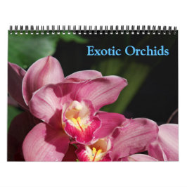 Orchids-Kalender Kalender