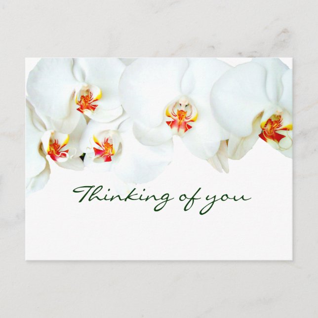 Orchids Liebe_ Postkarte (Vorderseite)