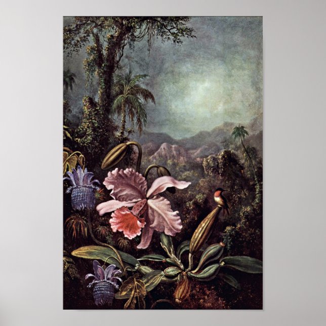 Orchids Passion Blume und Hummingbirds von Martin Poster (Vorne)