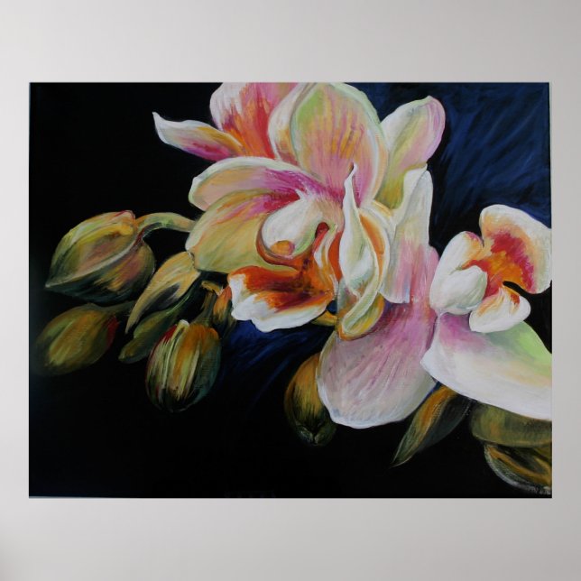 Orchids Poster (Vorne)