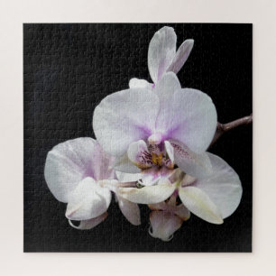 Orchids-Puzzle