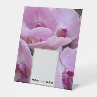 Orchids Sockelschild