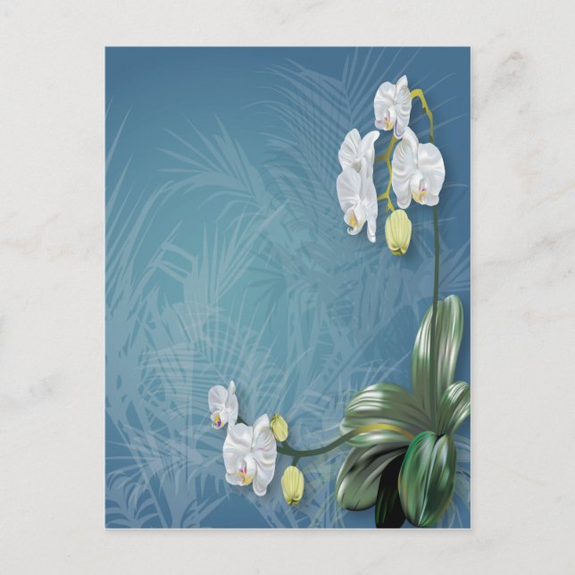 Orchids und Ferns Postkarte (Vorderseite)