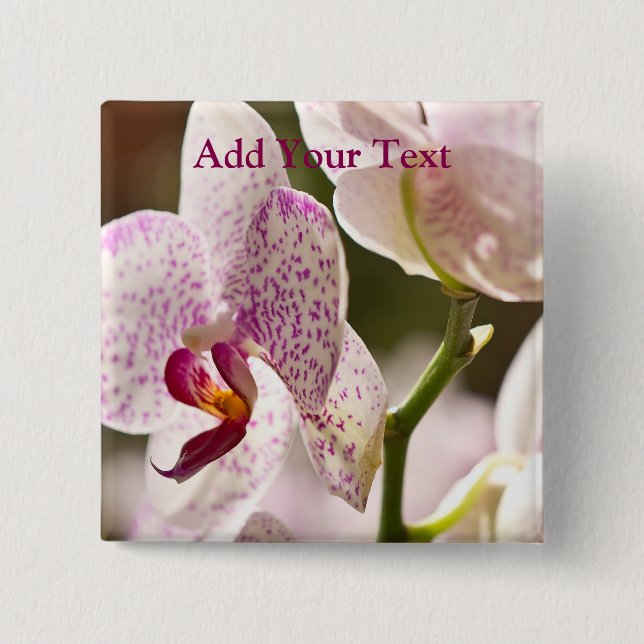 Orchids von Shirley Taylor Button (Vorderseite)