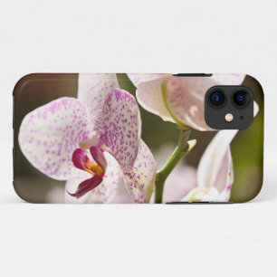 Orchids von Shirley Taylor Case-Mate iPhone Hülle