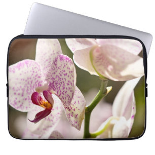 Orchids von Shirley Taylor Laptopschutzhülle