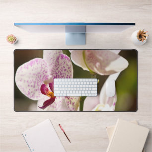 Orchids von Shirley Taylor Schreibtischunterlage