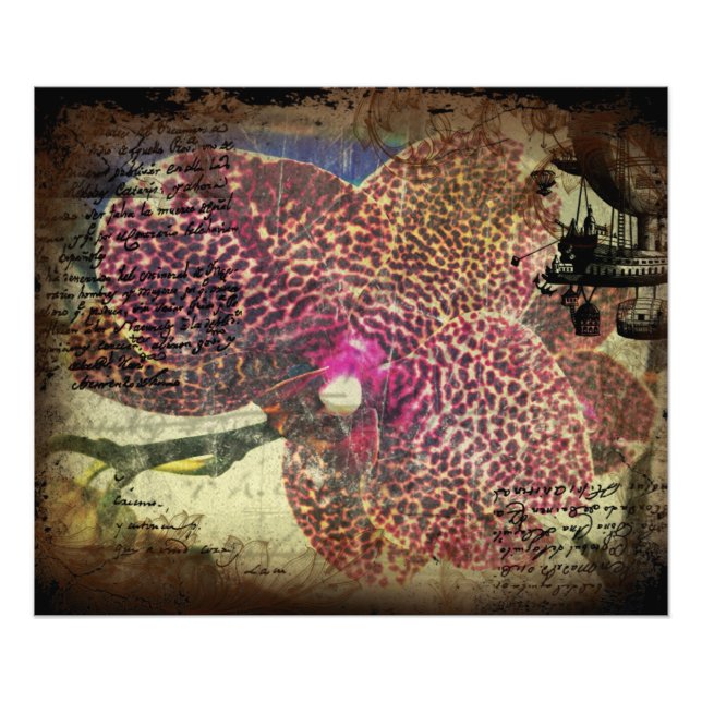 OrchidVALENTINE Print Fotodruck (Vorne)