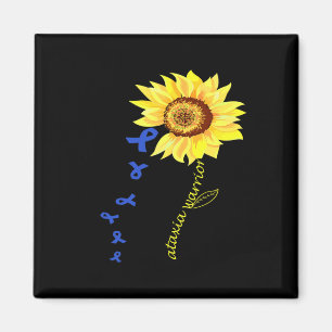 Ordner C:\Users\Administrator\Desktop\New - Kopier Magnet