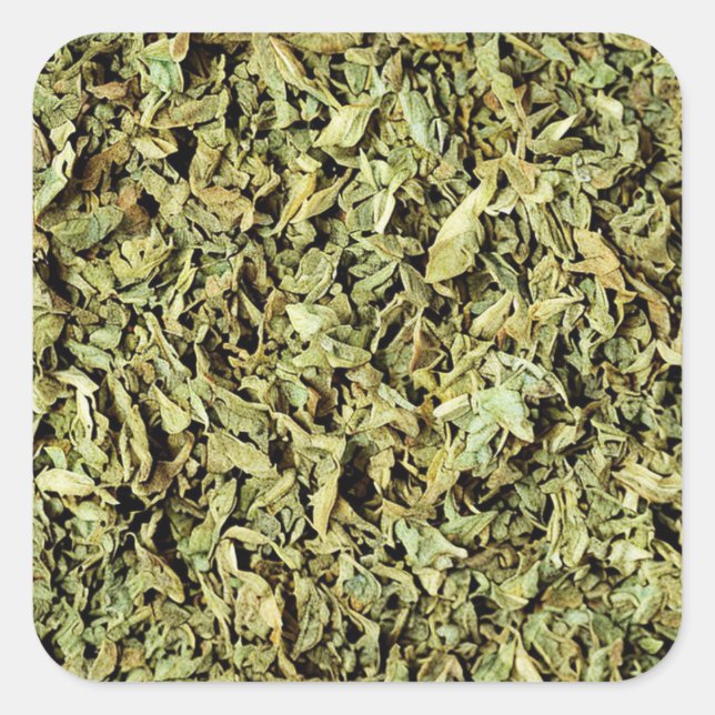 Oregano Quadratischer Aufkleber (Vorderseite)