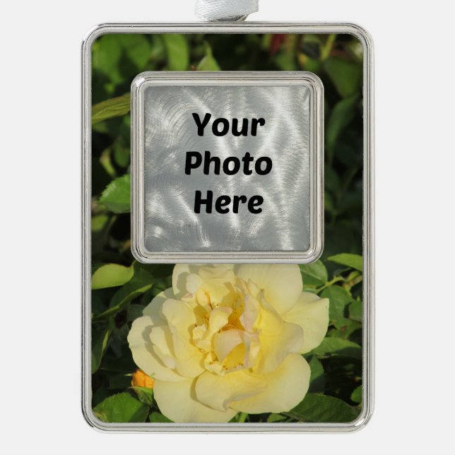 Oregold gelbe Rose Rahmen-Ornament Silber (Vorderseite)