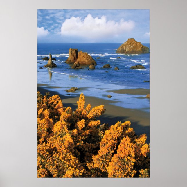 Oregon Beach View in Bandon Poster (Vorne)