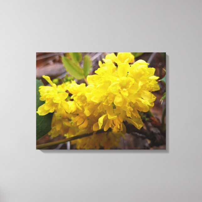 Oregon Blume Gelbe Wildblumen Leinwanddruck (Vorderseite)