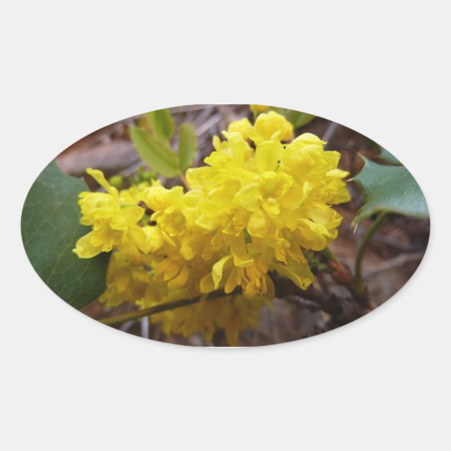 Oregon Blume Gelbe Wildblumen Ovaler Aufkleber (Vorderseite)