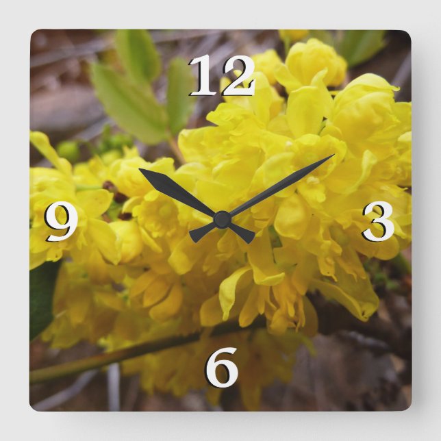 Oregon Blume Gelbe Wildblumen Quadratische Wanduhr (Vorderseite)