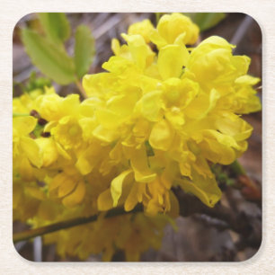 Oregon Blume Gelbe Wildblumen Rechteckiger Pappuntersetzer