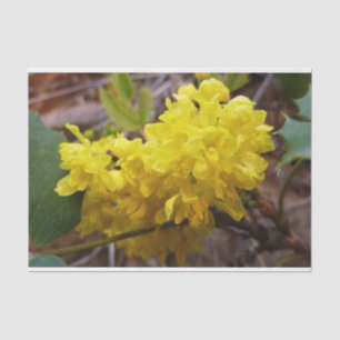 Oregon Blume Gelbe Wildblumen Seidenpapier