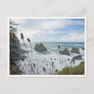 Oregon Coast Arch Rock State Park Brookings Beach Postkarte