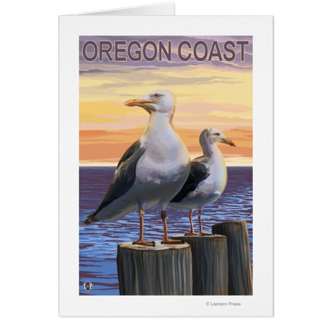 Oregon Coast Sea Gulls (Vorne)