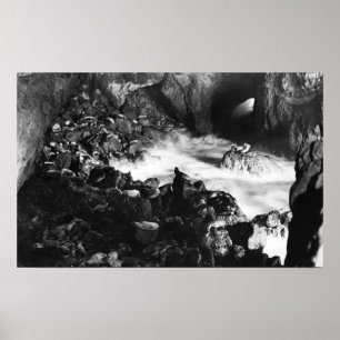 Oregon Coast Sea Lion Caves Räume Sicht Poster