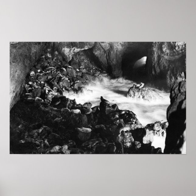 Oregon Coast Sea Lion Caves Räume Sicht Poster (Vorne)