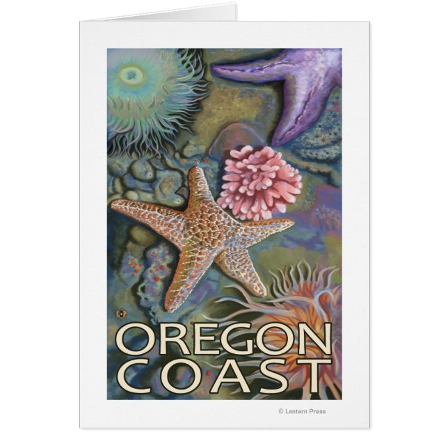 Oregon Coast Tidepool (Vorne)