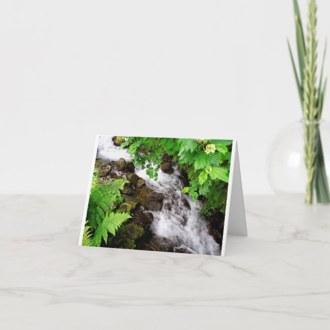 Oregon Creek Dankeskarte (Vorderseite)