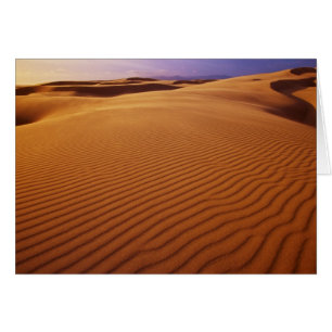 Oregon Dunes National Recreation Area, Oregon bei