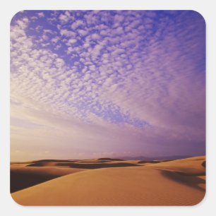 Oregon Dunes National Recreation Area, Oregon Quadratischer Aufkleber