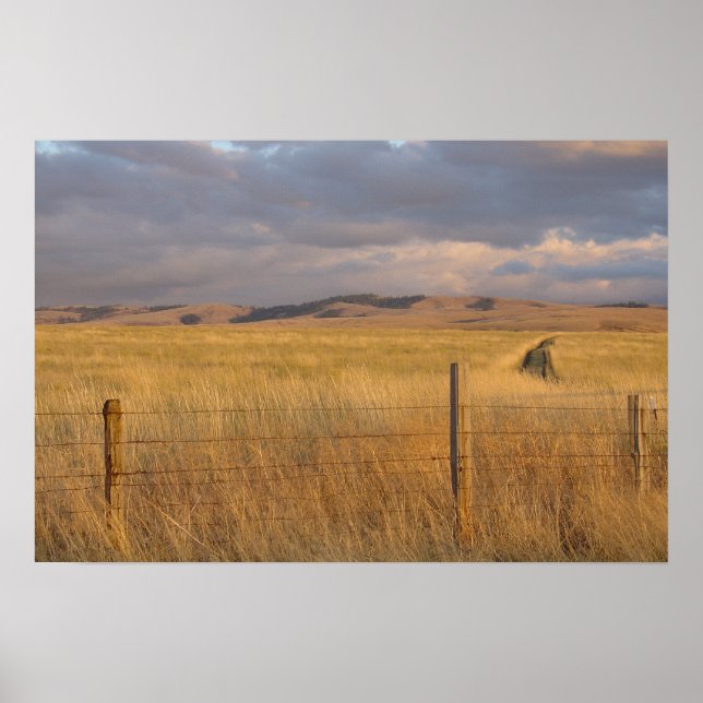 Oregon, Dusk Poster (Vorne)