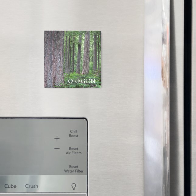 Oregon Evergreen Forest Magnet (In Situ (Kühlschrank))