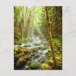 Oregon Fantasy Forest Stream Postkarte