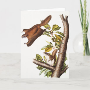 Oregon Flying Eichhörnchen (Pteromys Origonensis) Karte