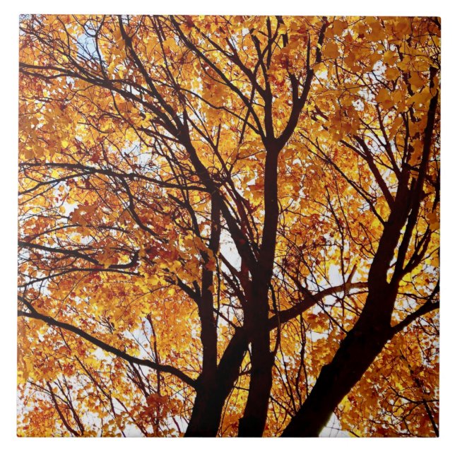 Oregon Herbstlaubs Fliese (Vorderseite)