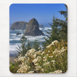 Oregon-Küste Mousepad