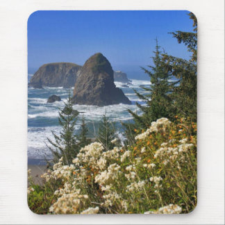 Oregon-Küste Mousepad