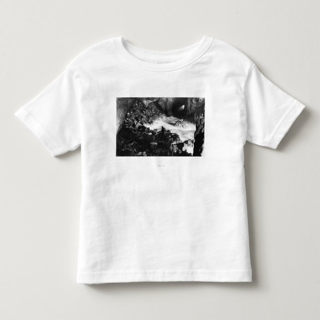 Oregon-Küsten-Seelöwe höhlt Innenansicht aus Kleinkind T-shirt (Vorderseite)