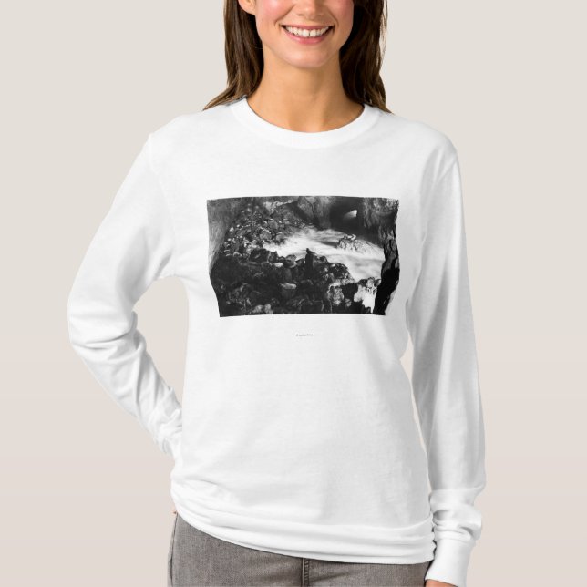 Oregon-Küsten-Seelöwe höhlt Innenansicht aus T-Shirt (Vorderseite)