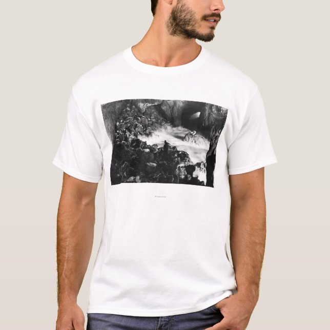 Oregon-Küsten-Seelöwe höhlt Innenansicht aus T-Shirt (Vorderseite)