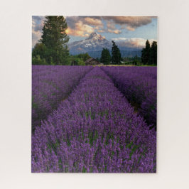 Oregon Lavender Field Overlook Mount Hood