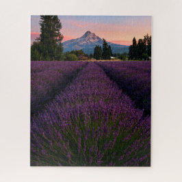 Oregon Lavender Field Overlook Mount Hood