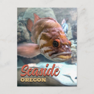 Oregon Rockfish am Meer Postkarte