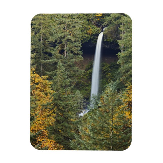 Oregon, Silver Falls Staat Park, North Falls Magnet (Vertikal)