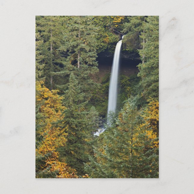 Oregon, Silver Falls Staat Park, North Falls Postkarte (Vorderseite)
