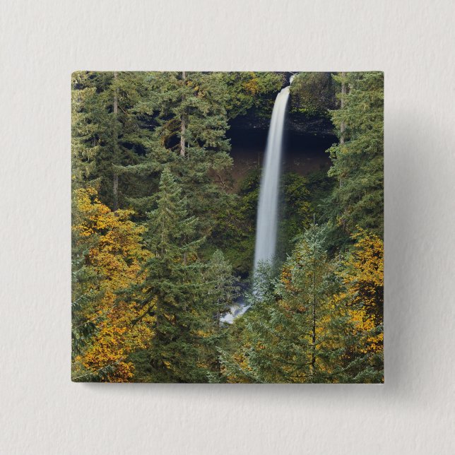 Oregon, Silver Falls State Park, North Falls Button (Vorderseite)
