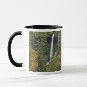 Oregon, Silver Falls State Park, North Falls Tasse