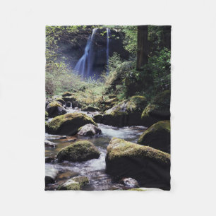 Oregon, Siskiyou National Forest, Elk Creek Fleecedecke